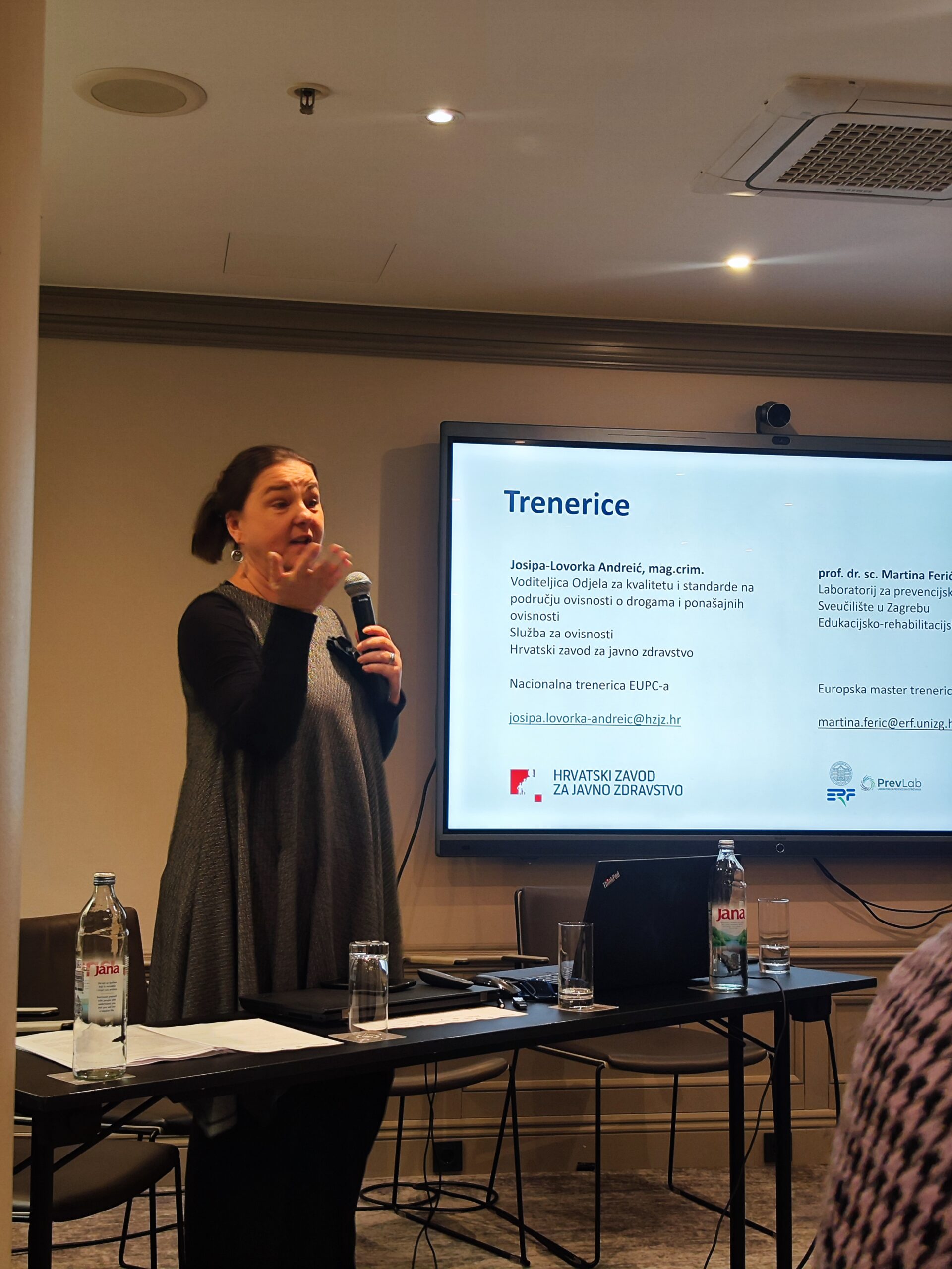 prof.dr.sc. Martina Ferić